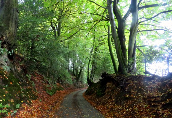 Tennyson's Lane, 13/10/19