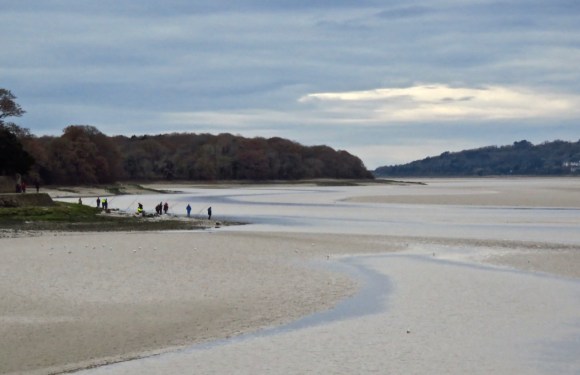 Kent estuary, 16/11/19