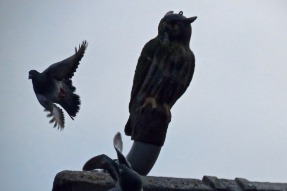 Aborted landing, 17/1/20