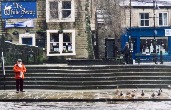 Ducks ignoring food, 23/2/20