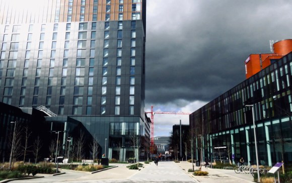 Campus on Sunday, 8/3/20