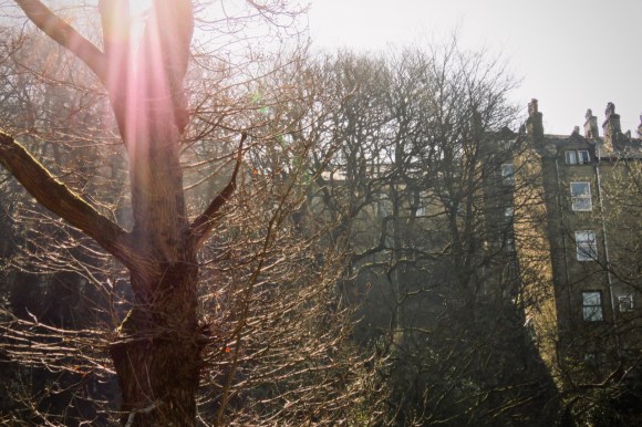 Pink sunshine, 26/3/20