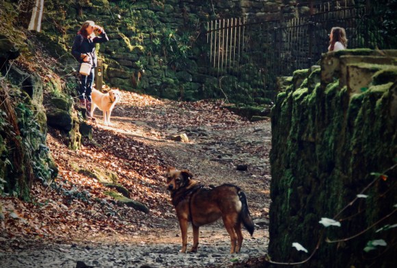 Social distancing, 27/3/20