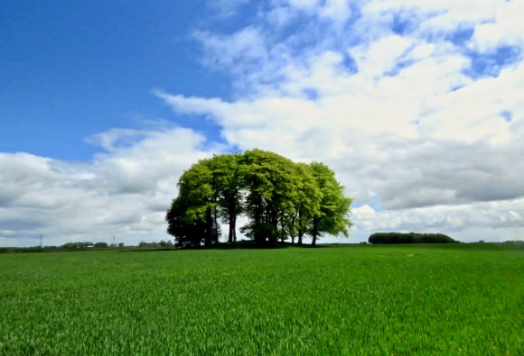 Garrowby Hill, 13/5/20