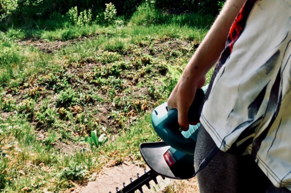 Hedge strimmer, 28/5/20