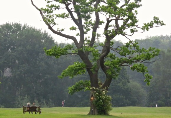 Allestree Park, 14/6/20