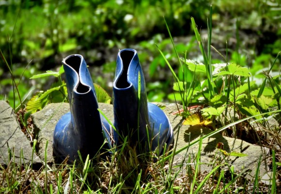 Ex-scarecrow, 6/7/20