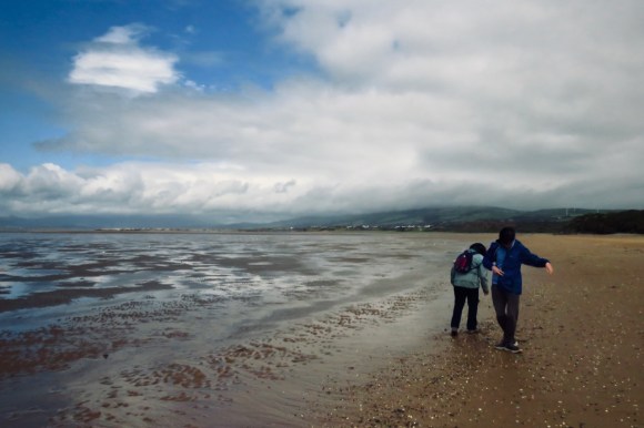 Sandscale Haws, 27/7/20
