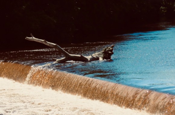 Wetherby weir, 5/7/20