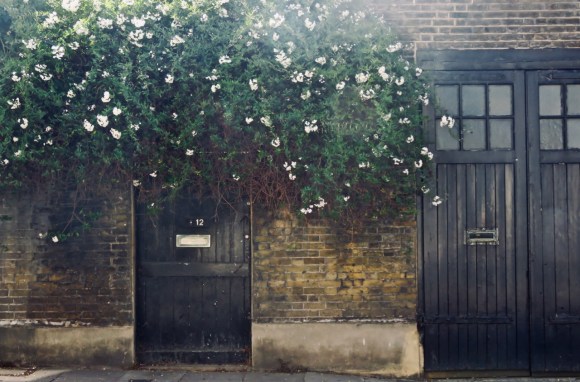 Wwhidborne Street, 30/7/20