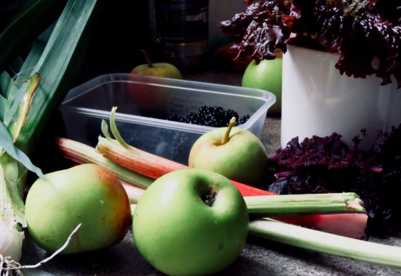 Garden produce, 30/8/20