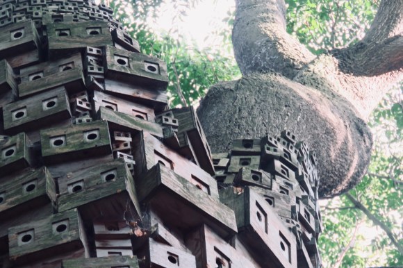 Spontaneous city, 24/8/20