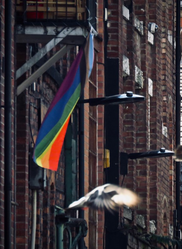 Rainbow and pigeon, 25/9/20