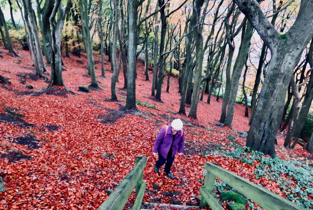 Clare in Entwood, 1/11/20