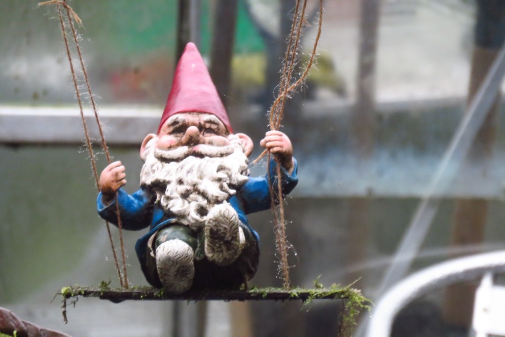 Swinging gnome, 21/12/20