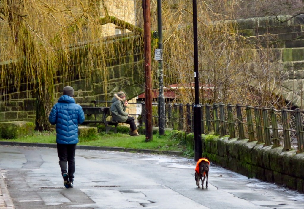 Distanced dog, 25/1/21