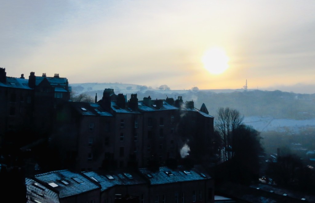 January house view, 15/1/21