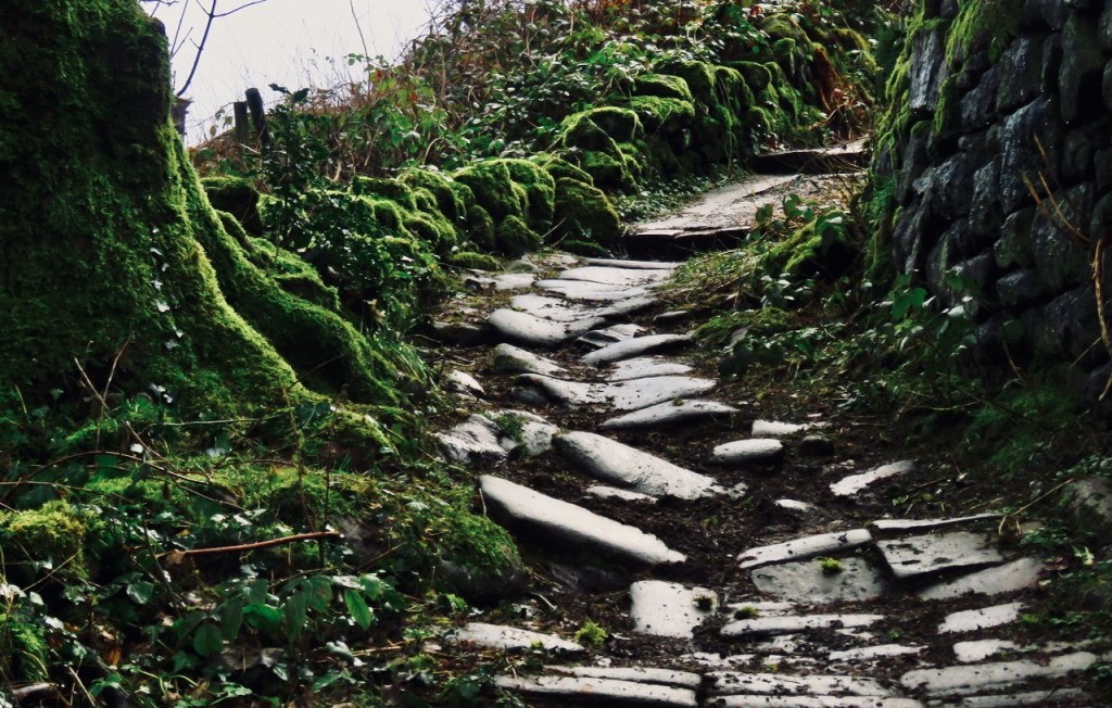 Path to Lee Wood Road, 16/1/21