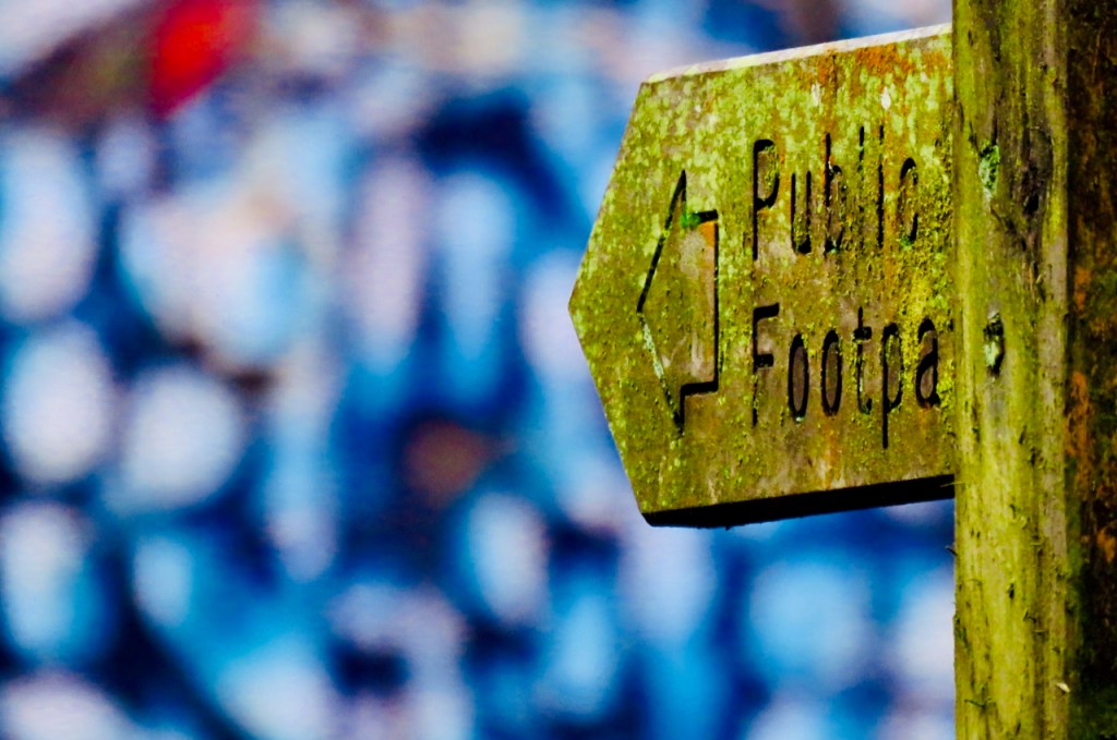 Psychedelic footpath, 29/1/21