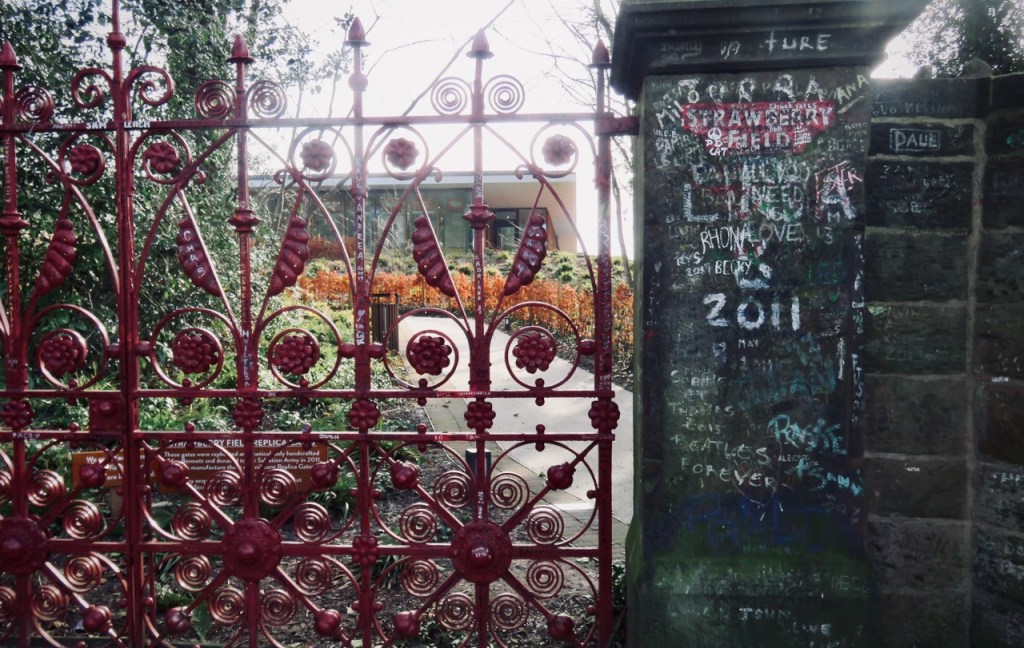Strawberry Field, 11/2/21