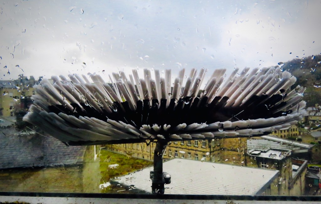 Window cleaning, 11/3/21