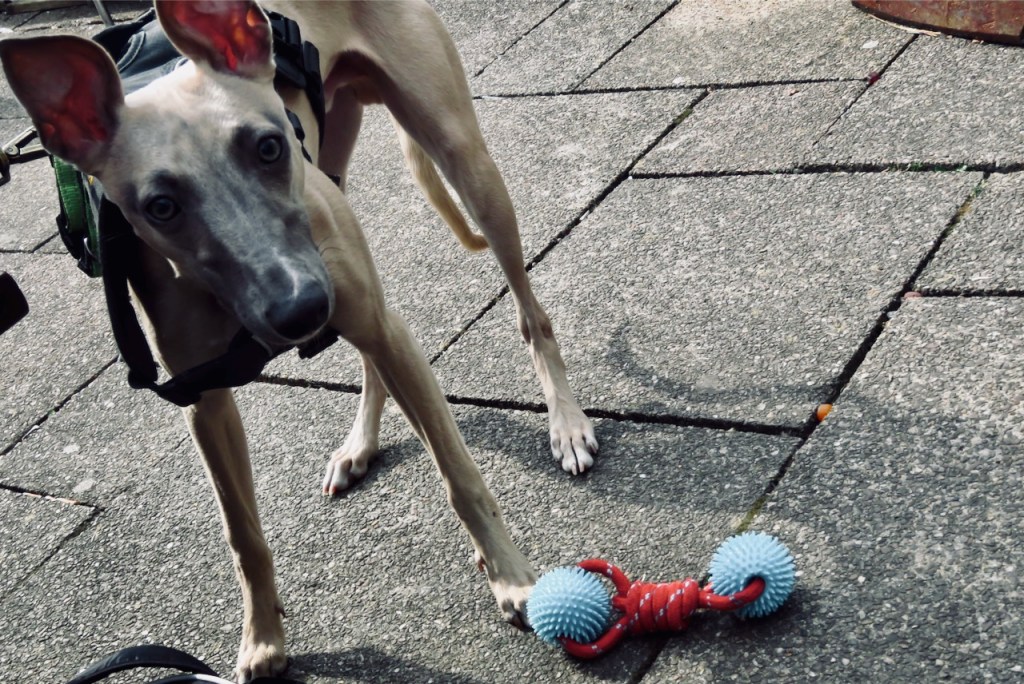 Play with me, 18/4/21