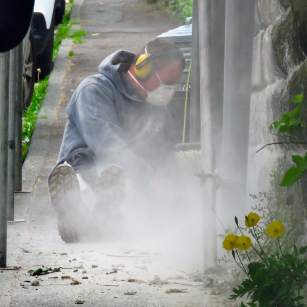 Dust and poppies, 11/6/21