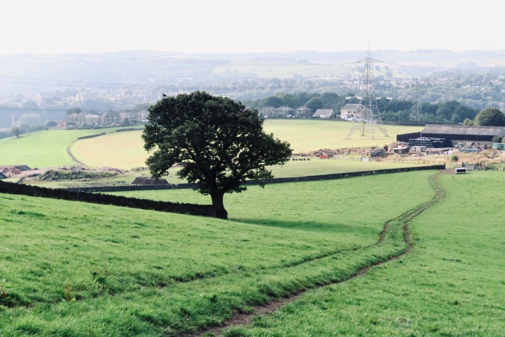 Calderdale Way, 5/9/21