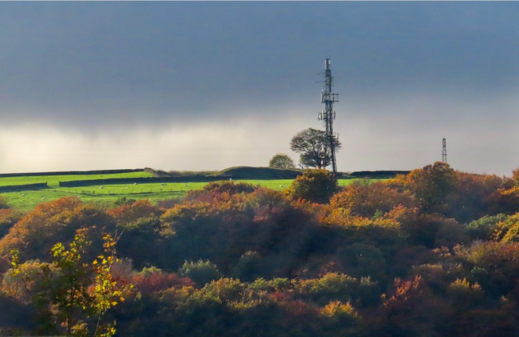 Mobile mast, autumn, 3/11/21