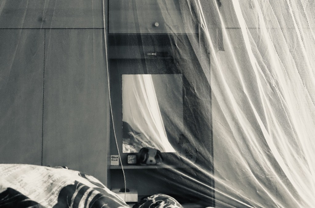 Mosquito net, 17/11/21