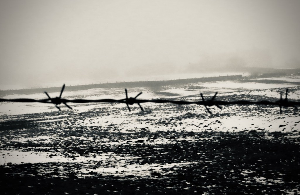 Gloomy field, 26/12/21