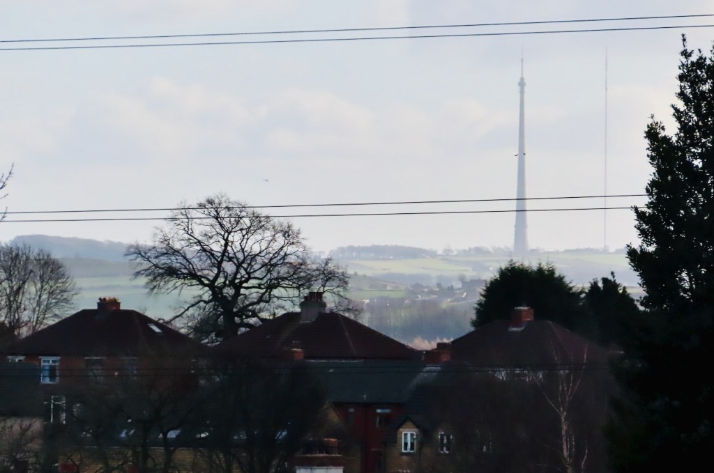 Emley Moor mast, 27/1/22