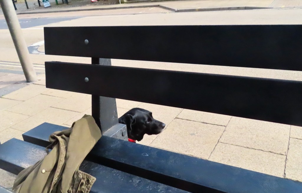 Diamond waits, 7/6/22