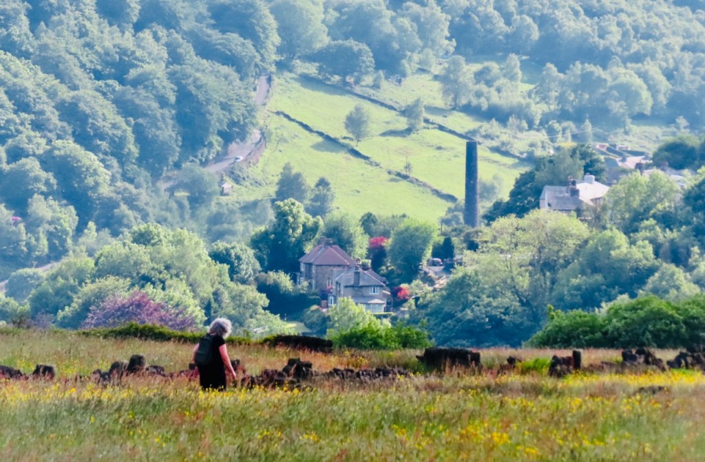 Walking home, 4/6/22