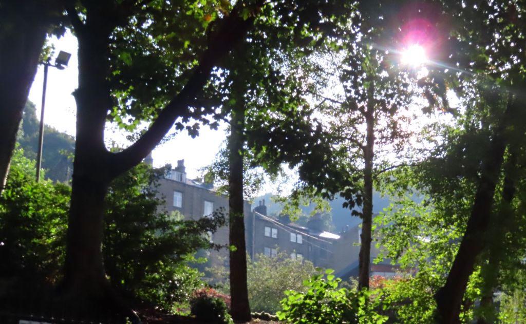 Nutclough morning, 5/9/22