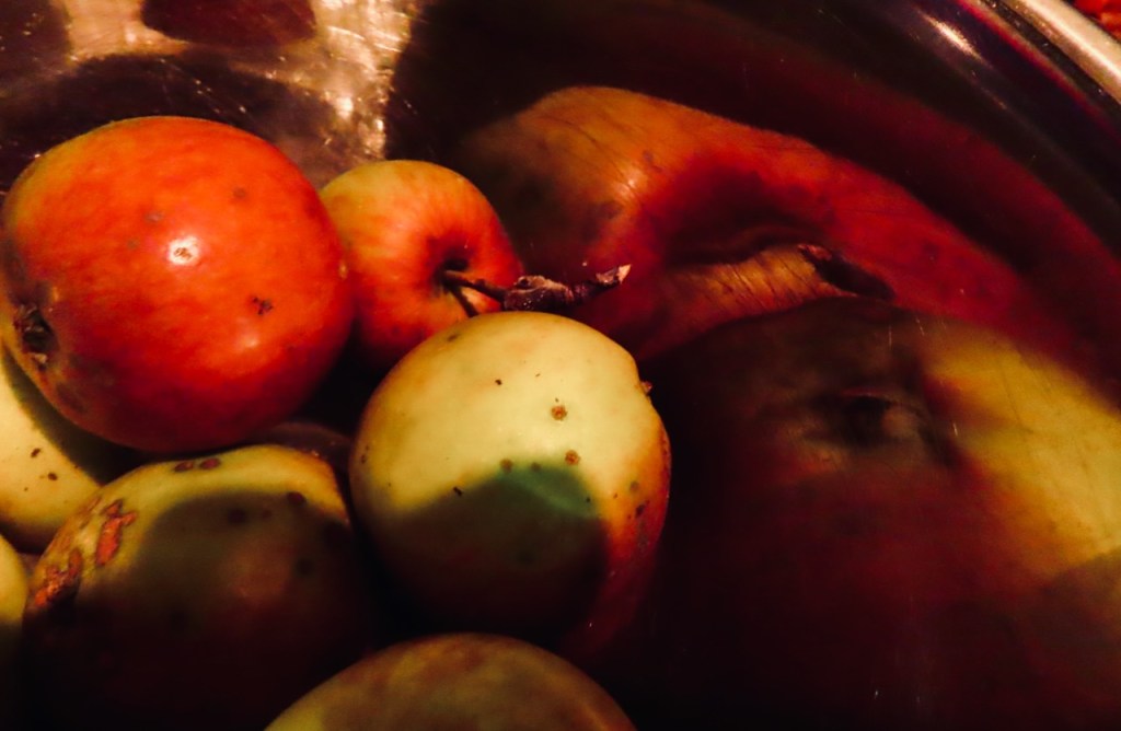 Apples in bowl, 6/10/22