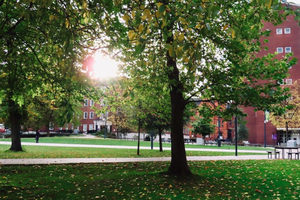 Campus morning, 19/10/22