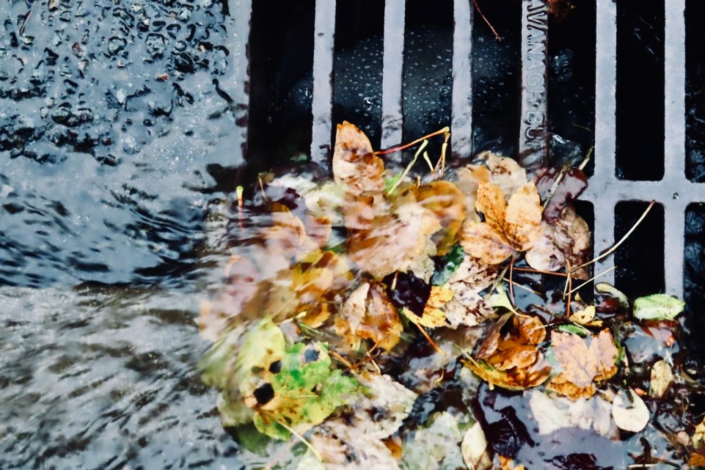 Rain in drain, 30/9/22