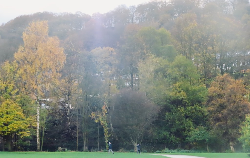 Park in November, 9/11/22