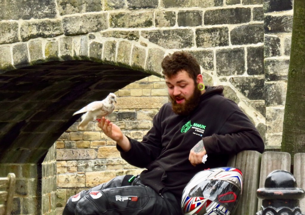 Biker and pigeon, 14/8/16
