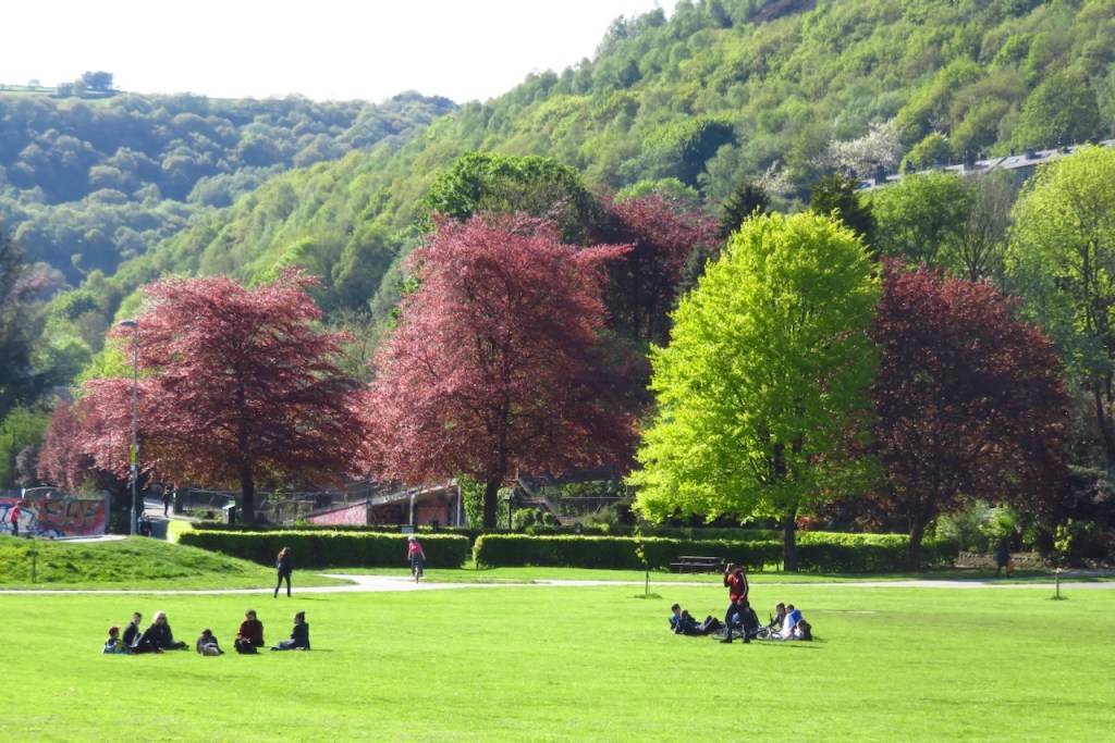 Calder Holmes, 16/5/16