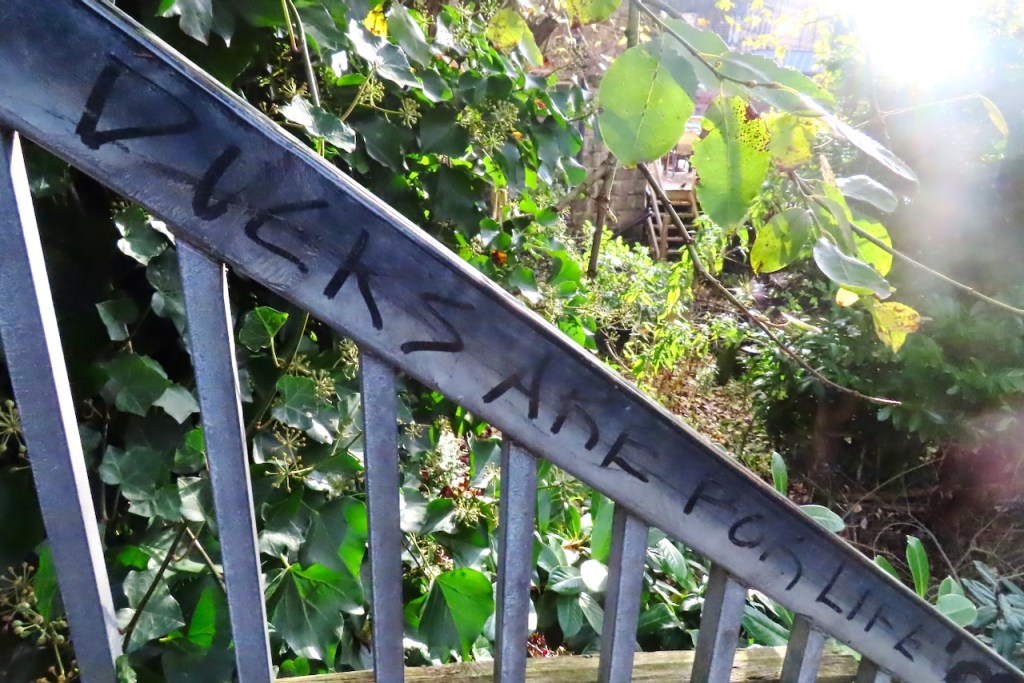 Ducks message, 5/12/22