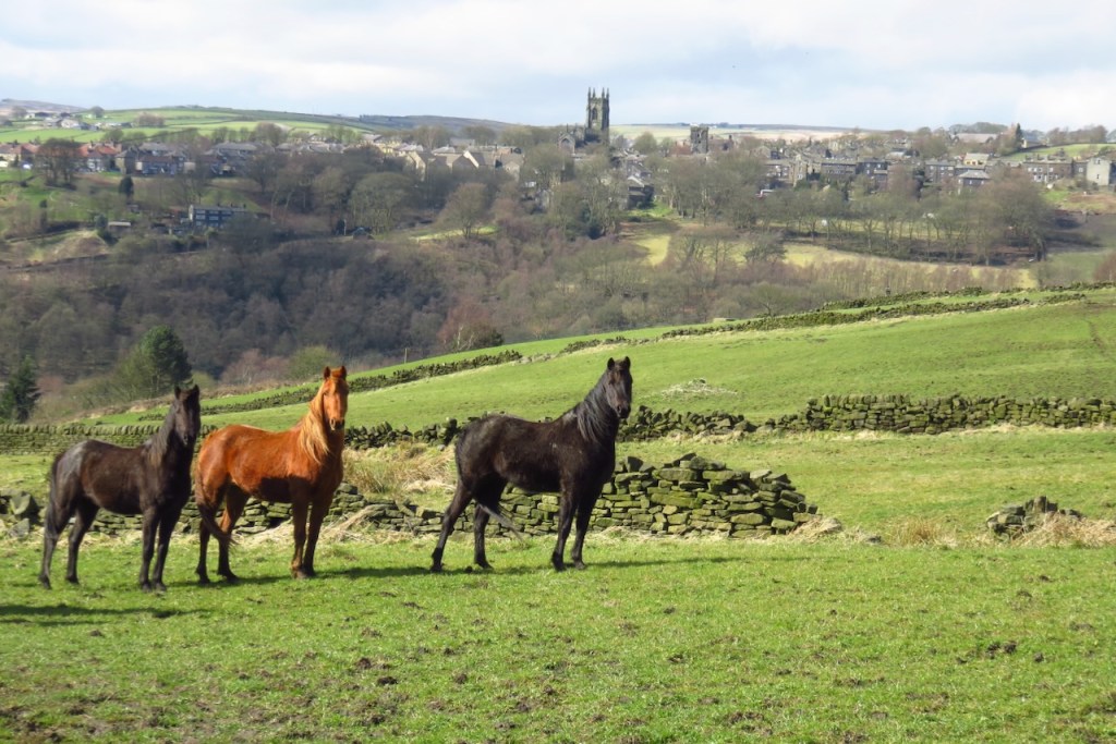 Horses and Heptonstall, 27/3/16