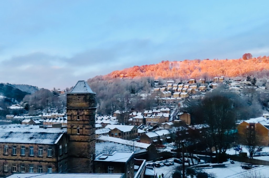 Sun-tinged house view, 18/1/23