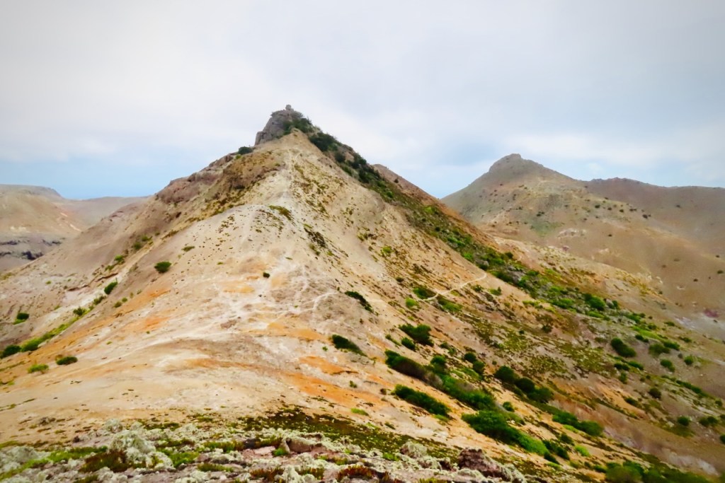 Two Stone Tops, 25/1/23