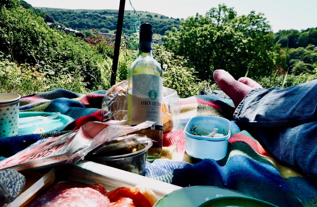 Picnic remnants, 3/6/23