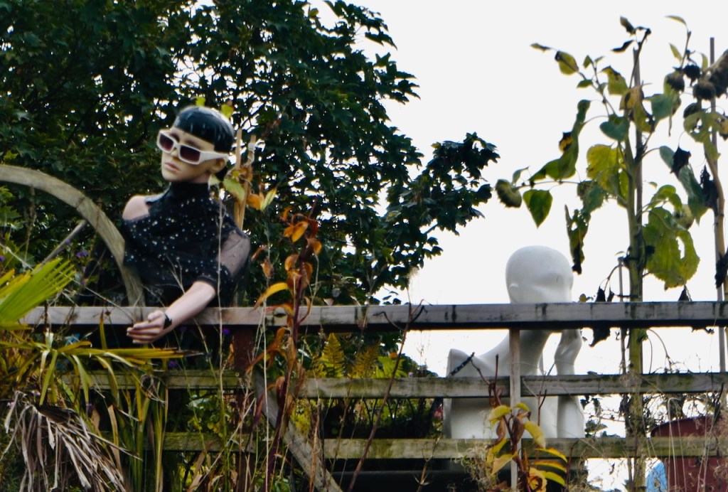 Roof garden dummies, 16/10/23