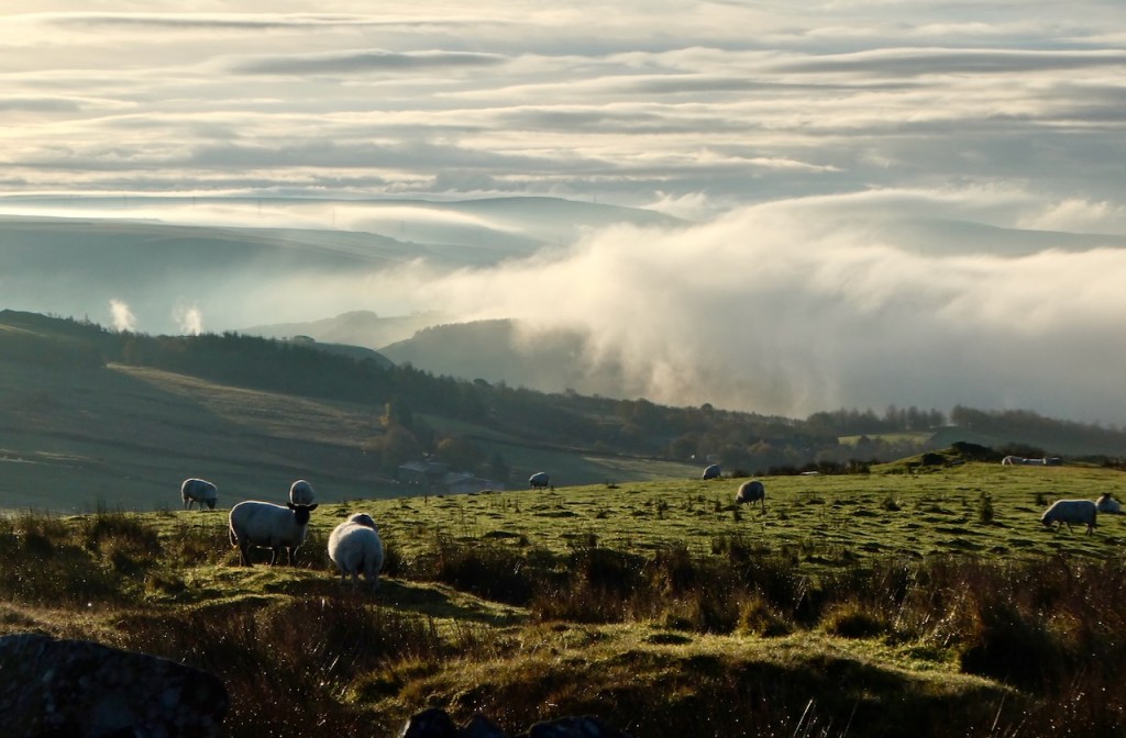 Long Causeway mist view, 10/11/23