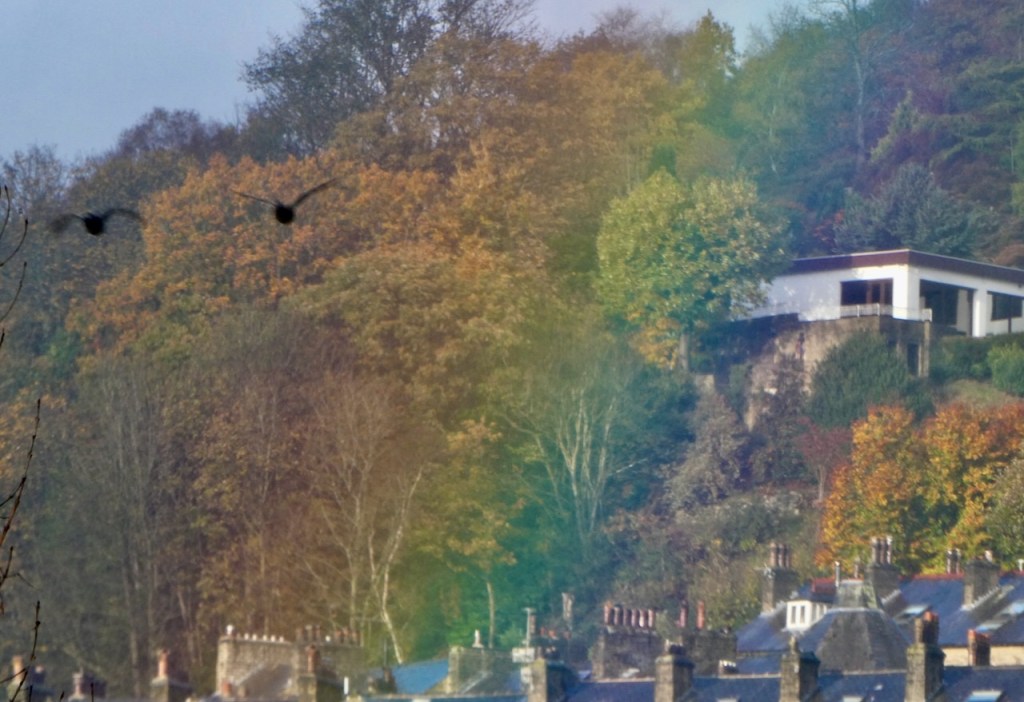 Rainbow and geese, 7/11/23