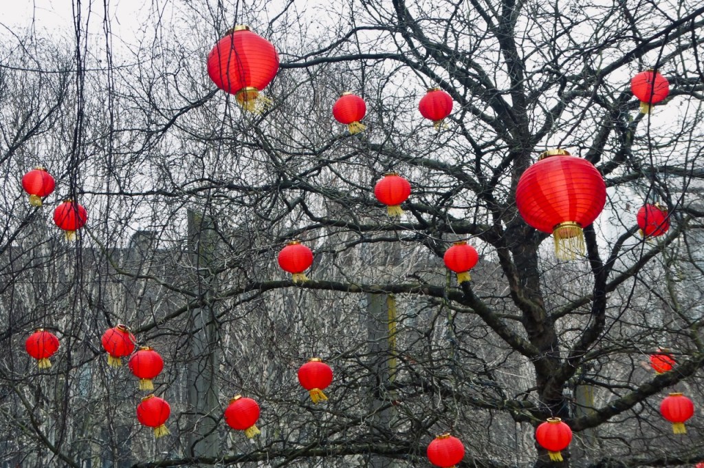 Chinese lanterns, 24/1/24